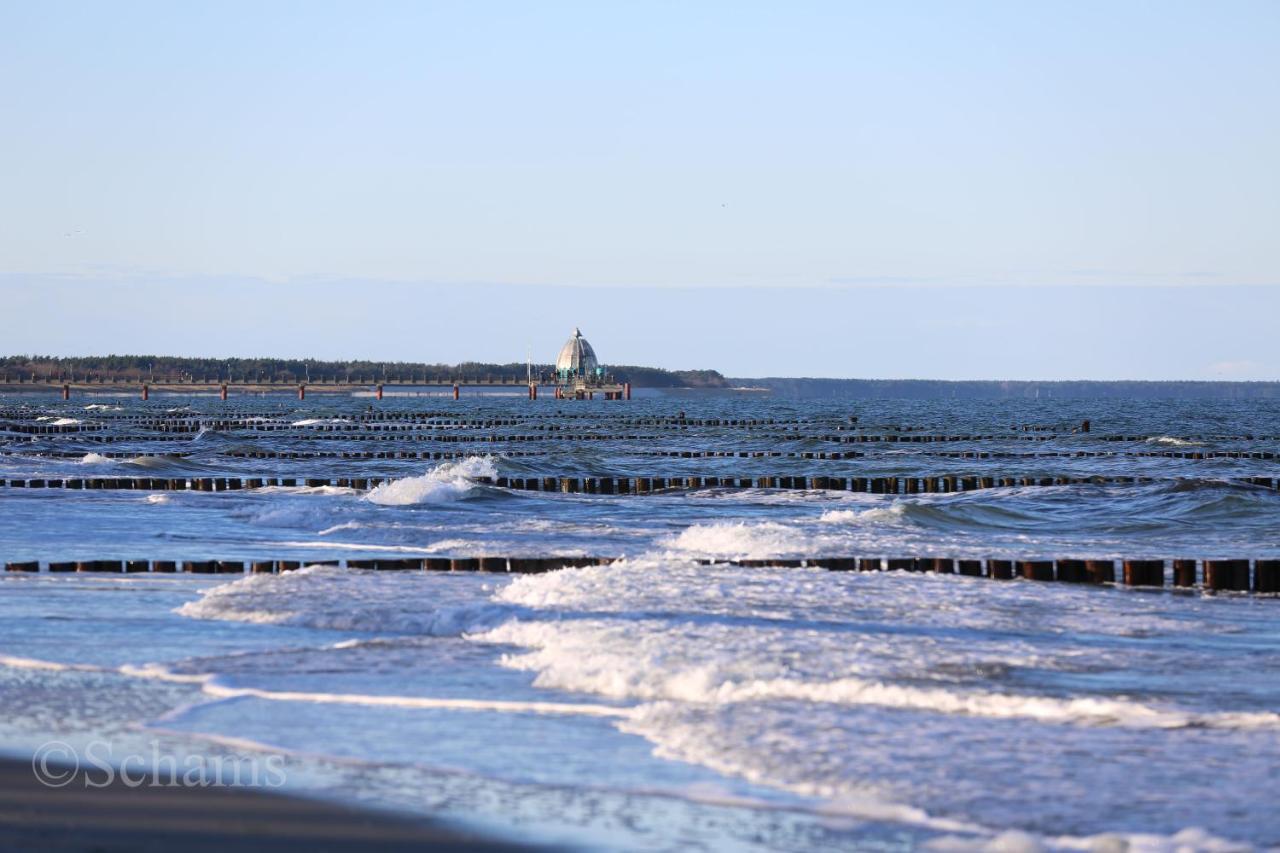 Ostseelagune Zingst, Exklusive Dhh, Strandnah, Sauna, Kamin, 3 Sz, 2 Baeder, Glasfaser, Haustierfrei, Garten Mit Suedterrasse, E-Ladesaeule, 2 Stellplaetze, Strandkorb, Fahrradschuppen, Waschmaschine, Trockner, Nichtraucher Zewnętrze zdjęcie