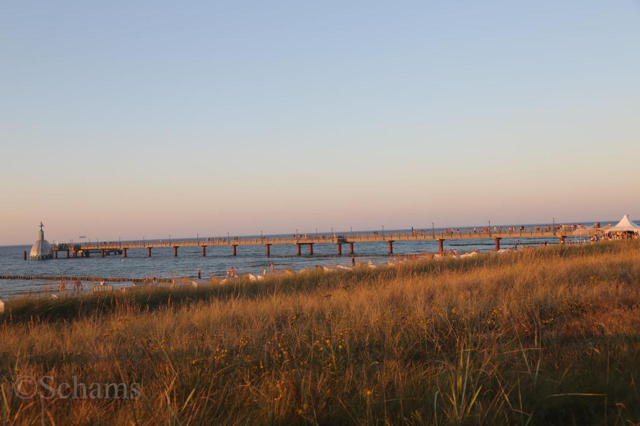 Ostseelagune Zingst, Exklusive Dhh, Strandnah, Sauna, Kamin, 3 Sz, 2 Baeder, Glasfaser, Haustierfrei, Garten Mit Suedterrasse, E-Ladesaeule, 2 Stellplaetze, Strandkorb, Fahrradschuppen, Waschmaschine, Trockner, Nichtraucher Zewnętrze zdjęcie