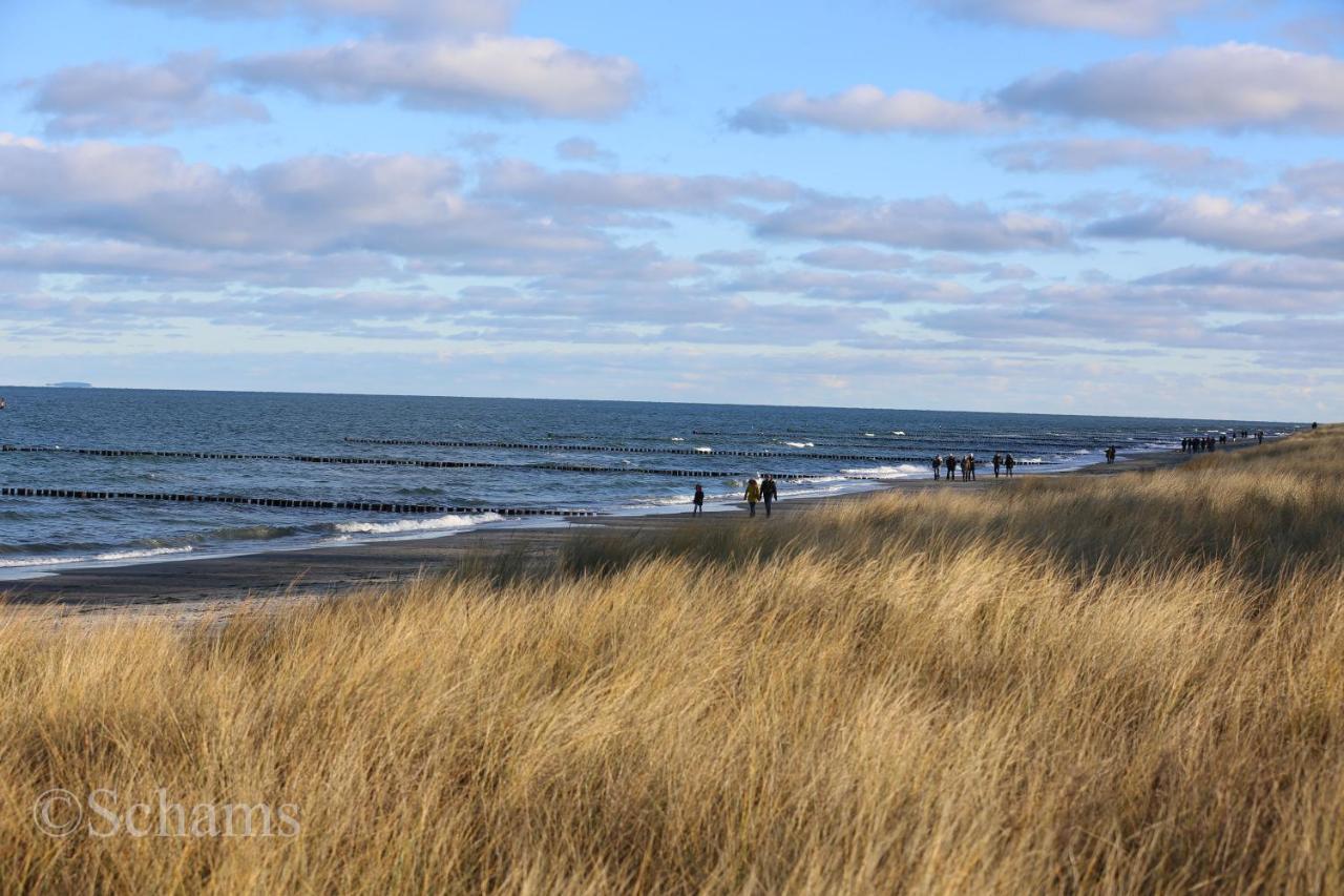 Ostseelagune Zingst, Exklusive Dhh, Strandnah, Sauna, Kamin, 3 Sz, 2 Baeder, Glasfaser, Haustierfrei, Garten Mit Suedterrasse, E-Ladesaeule, 2 Stellplaetze, Strandkorb, Fahrradschuppen, Waschmaschine, Trockner, Nichtraucher Zewnętrze zdjęcie
