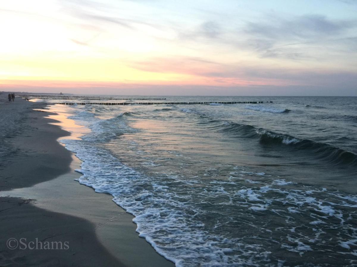 Ostseelagune Zingst, Exklusive Dhh, Strandnah, Sauna, Kamin, 3 Sz, 2 Baeder, Glasfaser, Haustierfrei, Garten Mit Suedterrasse, E-Ladesaeule, 2 Stellplaetze, Strandkorb, Fahrradschuppen, Waschmaschine, Trockner, Nichtraucher Zewnętrze zdjęcie